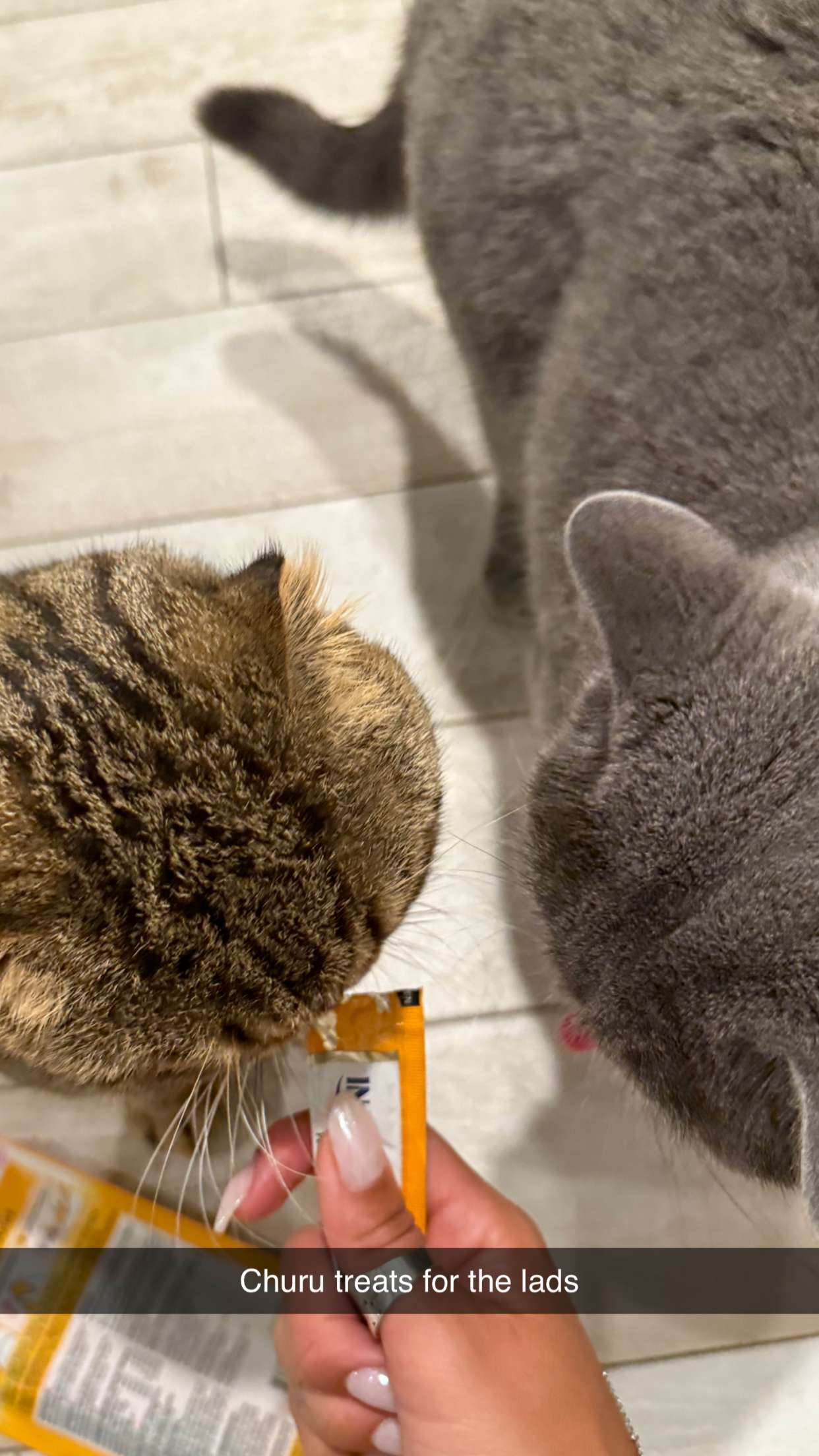 emelye.ender snapchat image archive image