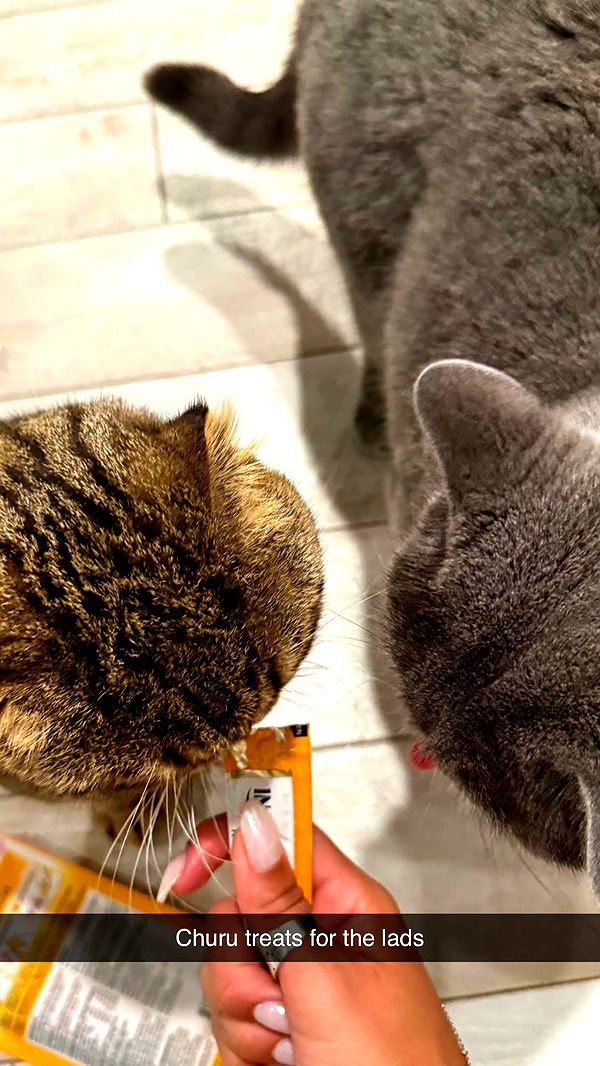 emelye.ender image ~ Altpins