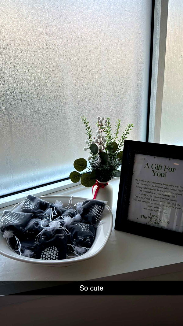 emelye.ender image ~ Altpins