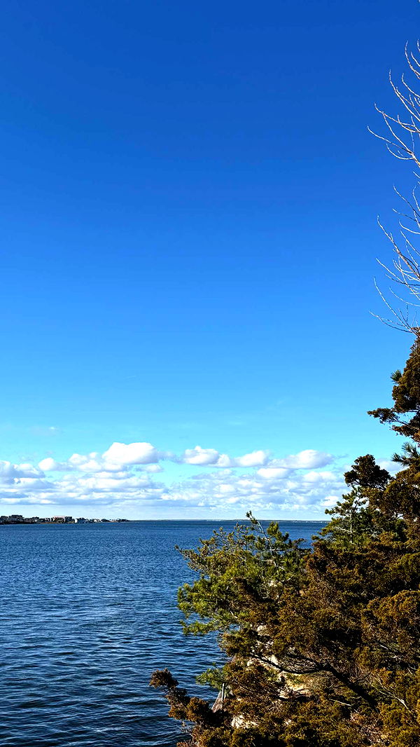 emelye.ender image ~ Altpins