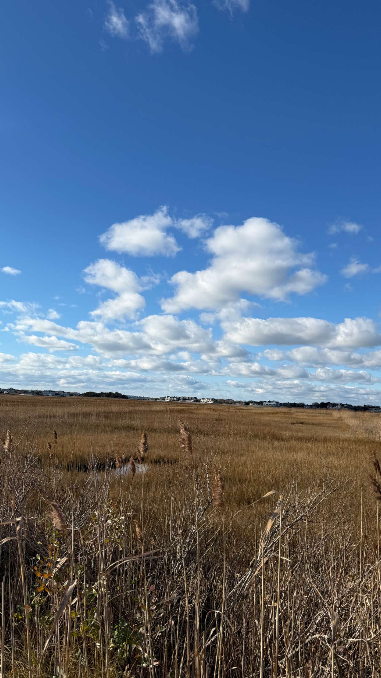 emelye.ender snapchat image archive image