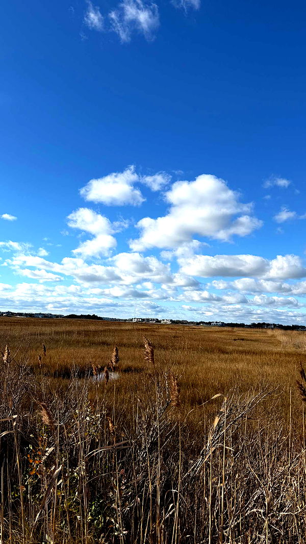 emelye.ender image ~ Altpins