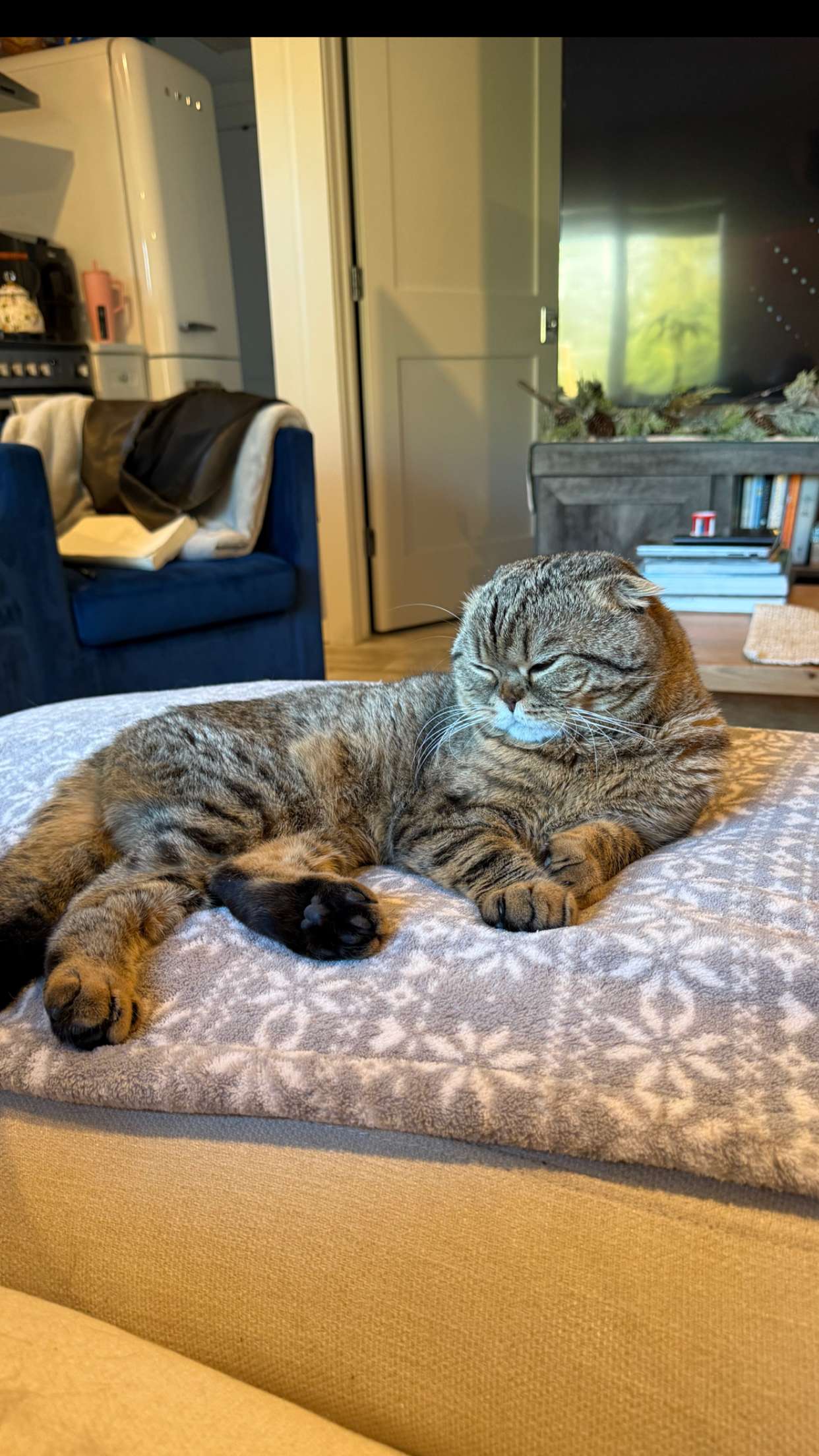 emelye.ender snapchat image archive image