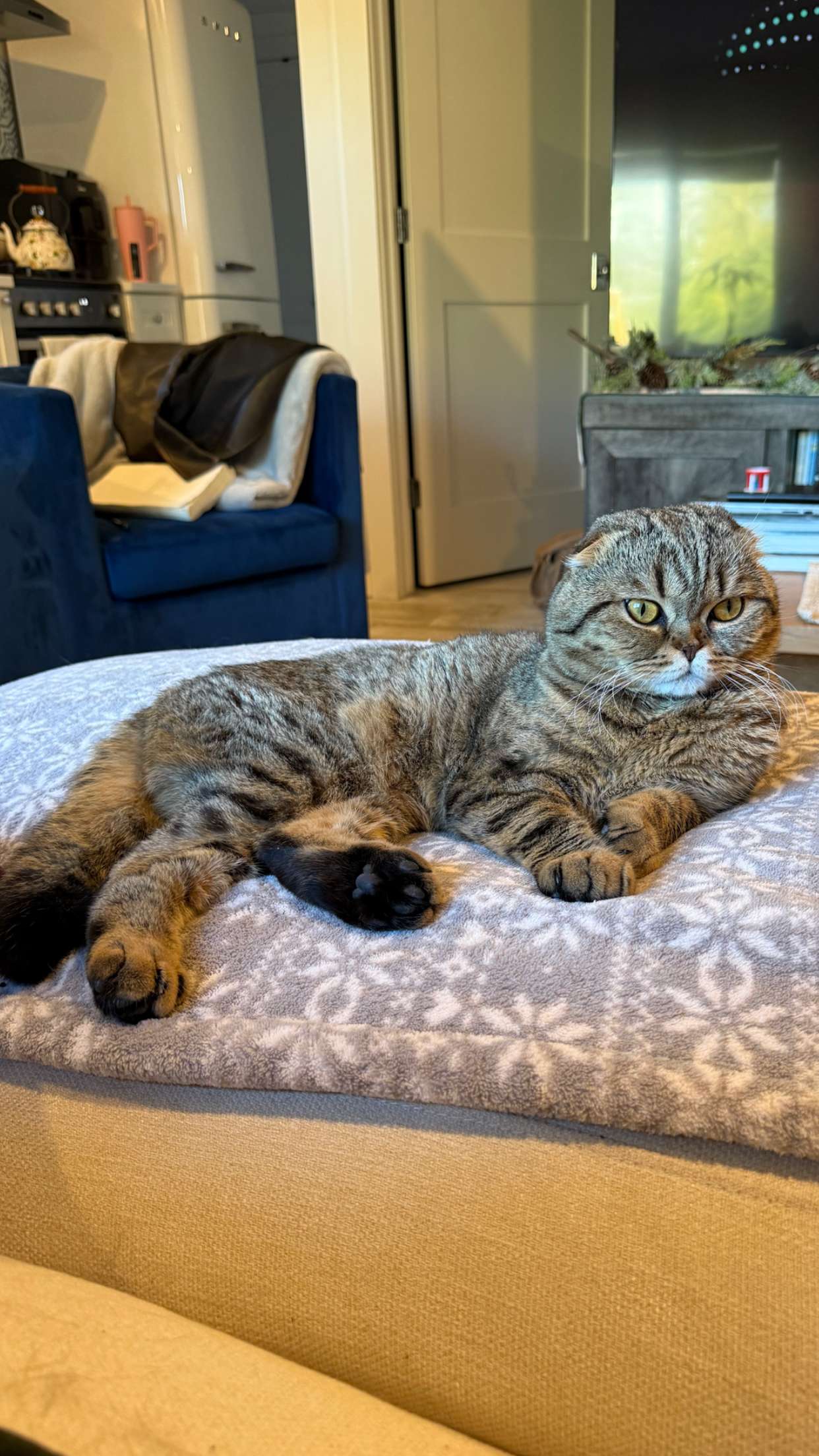 emelye.ender snapchat image archive image