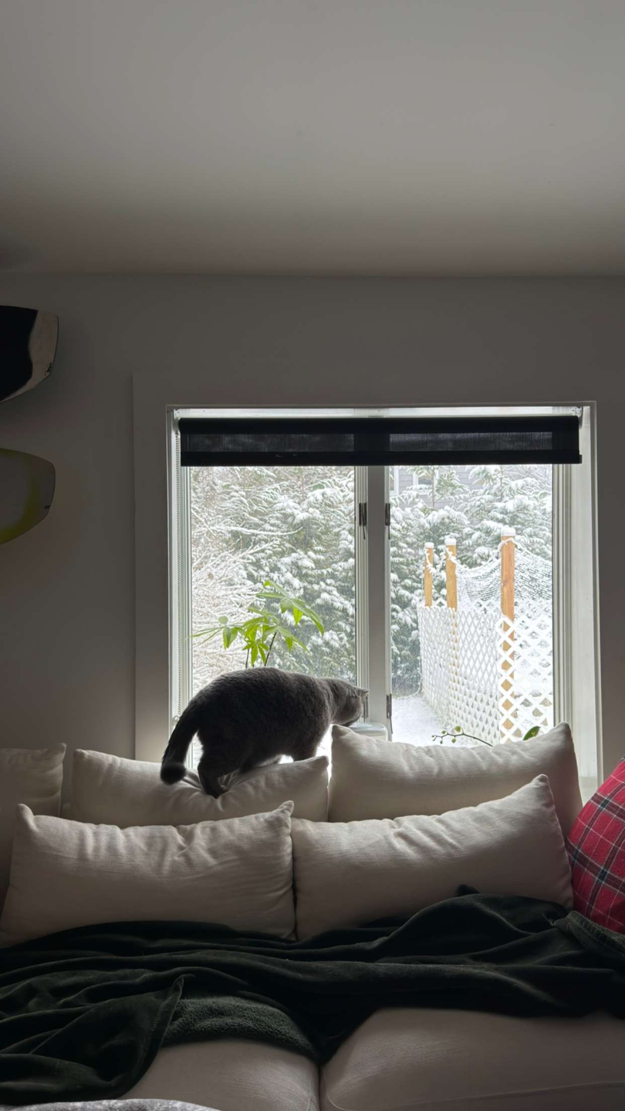 emelye.ender snapchat image archive image