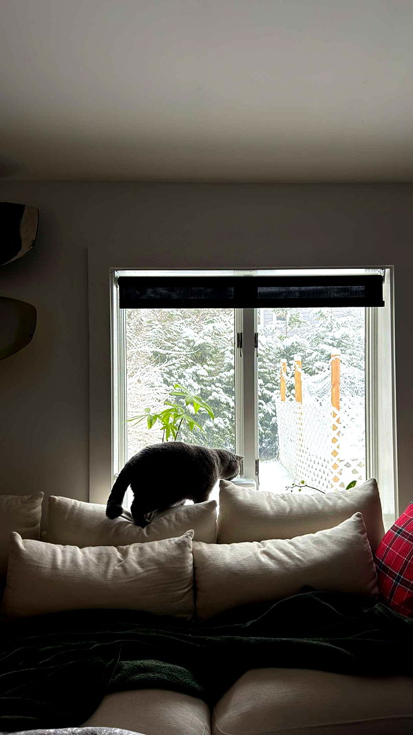 emelye.ender image ~ Altpins