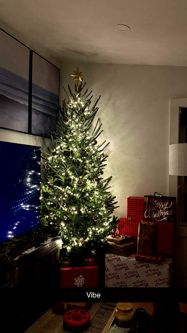 emelye.ender image ~ Altpins