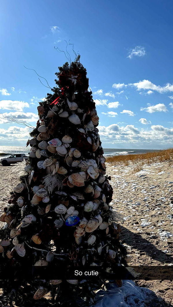 emelye.ender image ~ Altpins