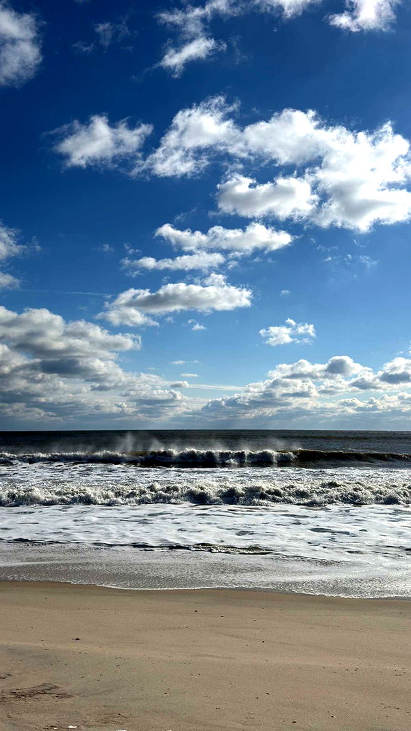 emelye.ender image ~ Altpins