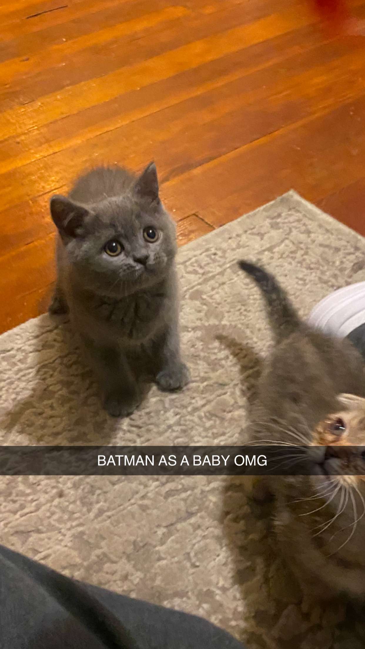 emelye.ender snapchat image archive image