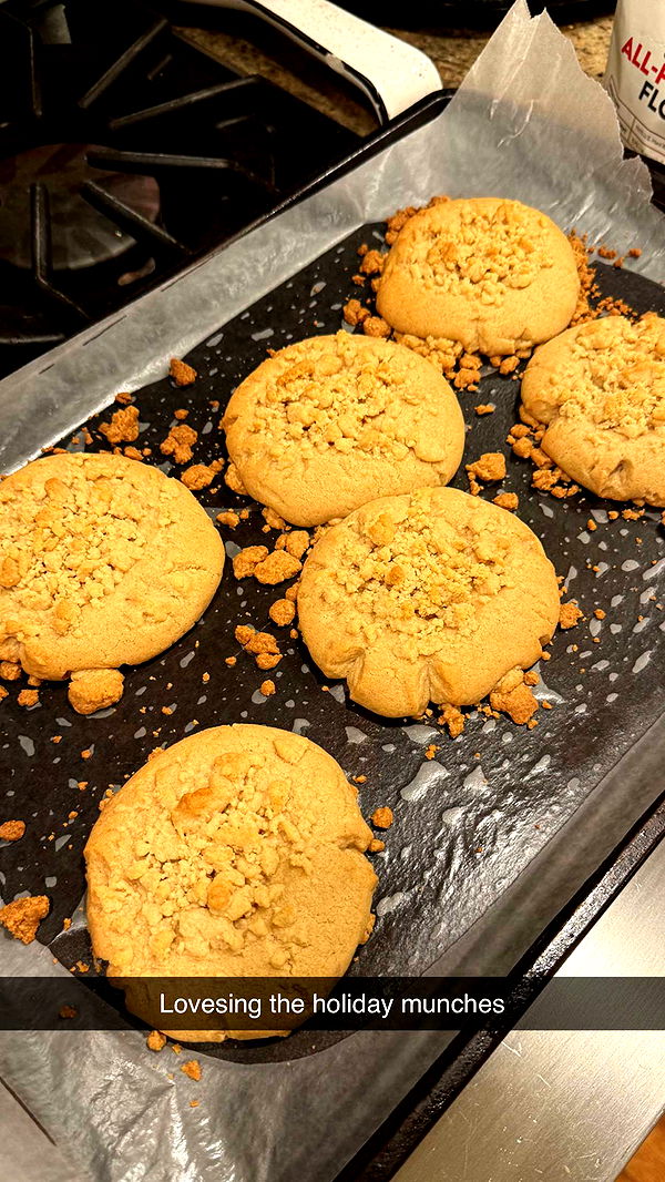 emelye.ender image ~ Altpins