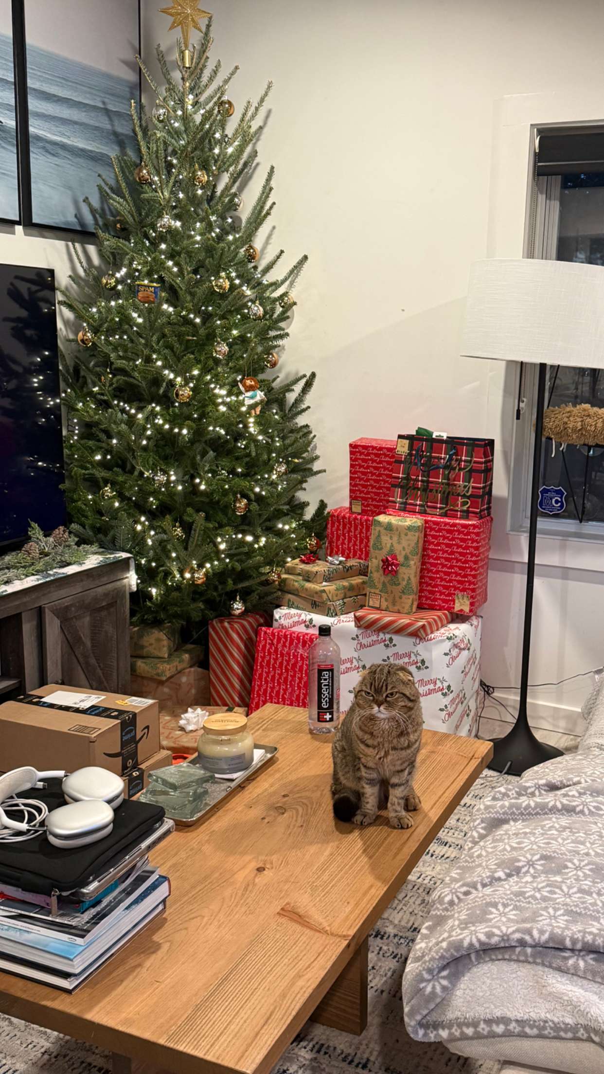 emelye.ender snapchat image archive image