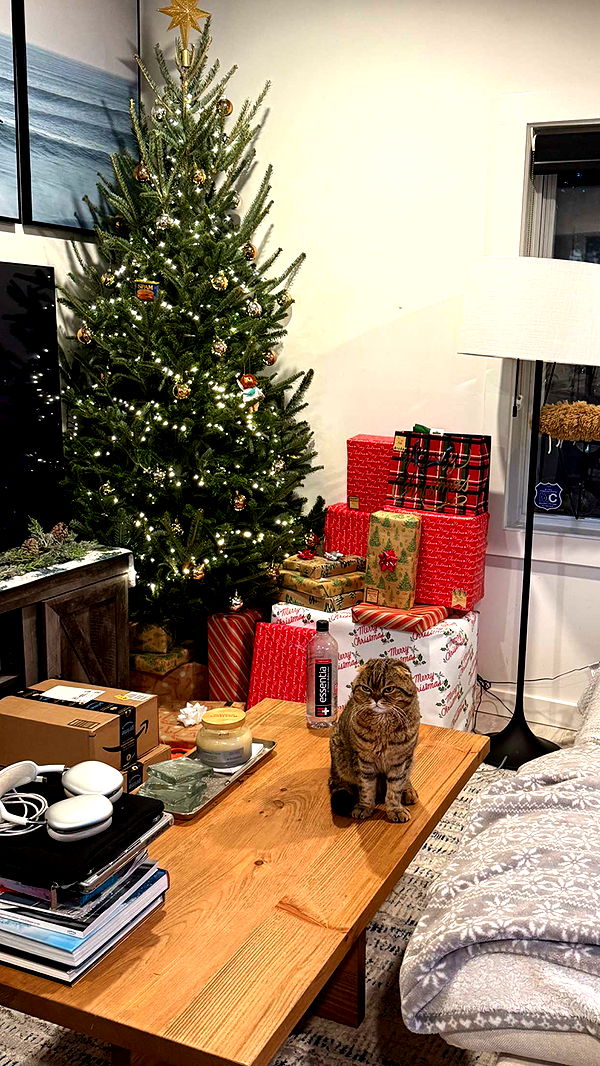 emelye.ender image ~ Altpins