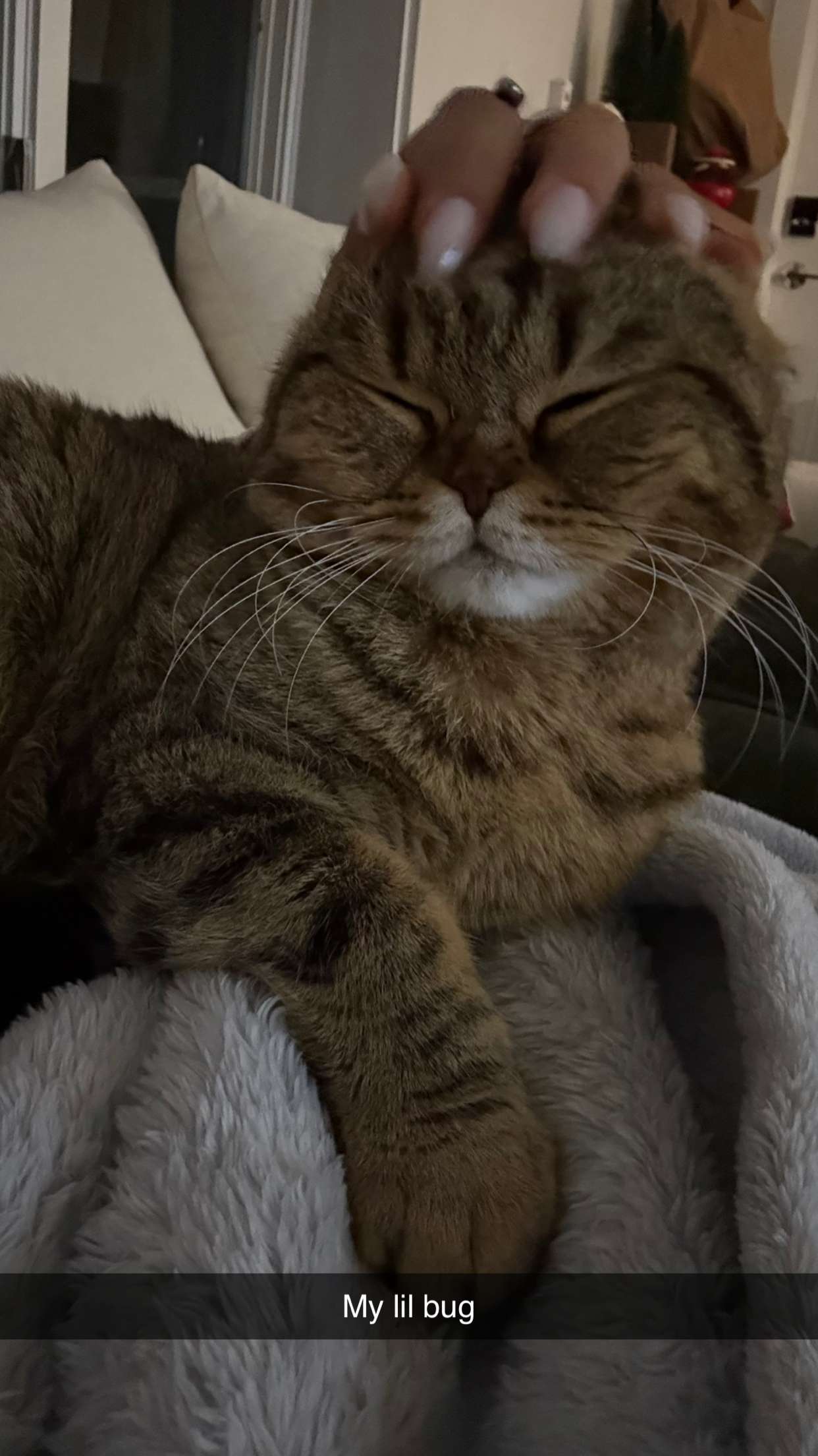 emelye.ender snapchat image archive image