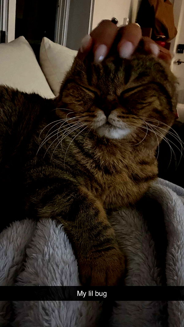 emelye.ender image ~ Altpins