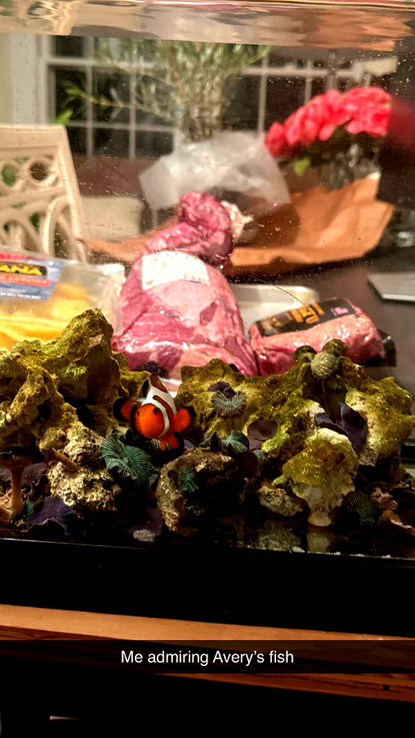 emelye.ender image ~ Altpins