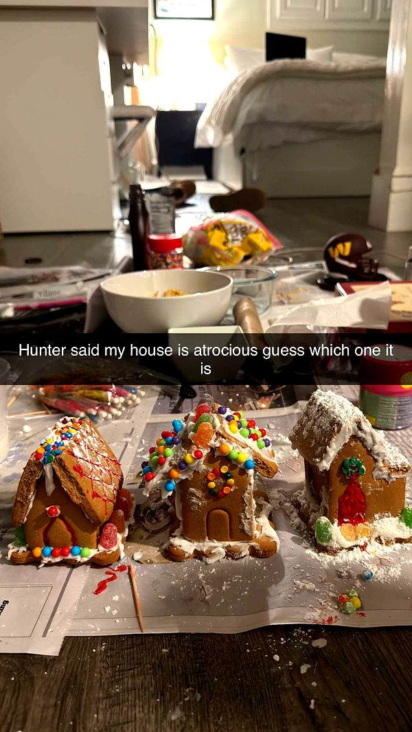 emelye.ender image ~ Altpins