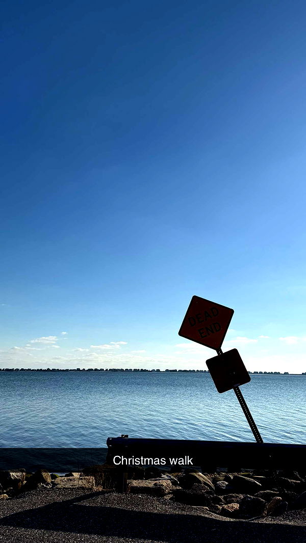 emelye.ender image ~ Altpins