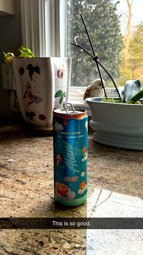 emelye.ender image ~ Altpins