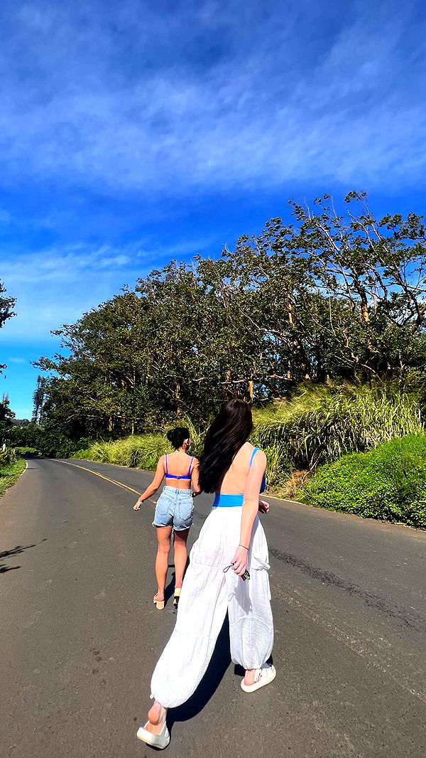 emelye.ender image ~ Altpins