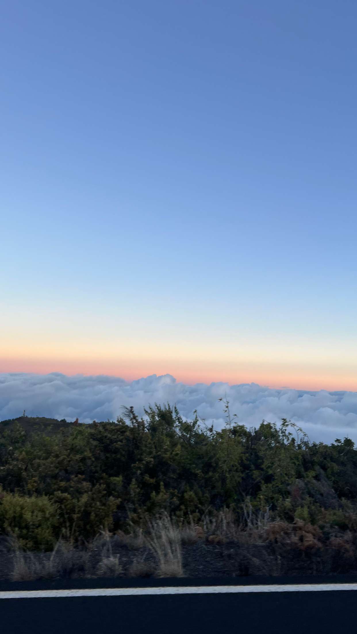 emelye.ender snapchat image archive image