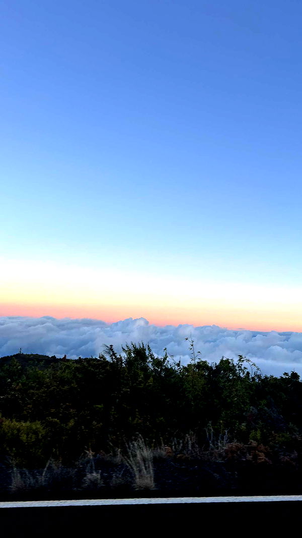 emelye.ender image ~ Altpins