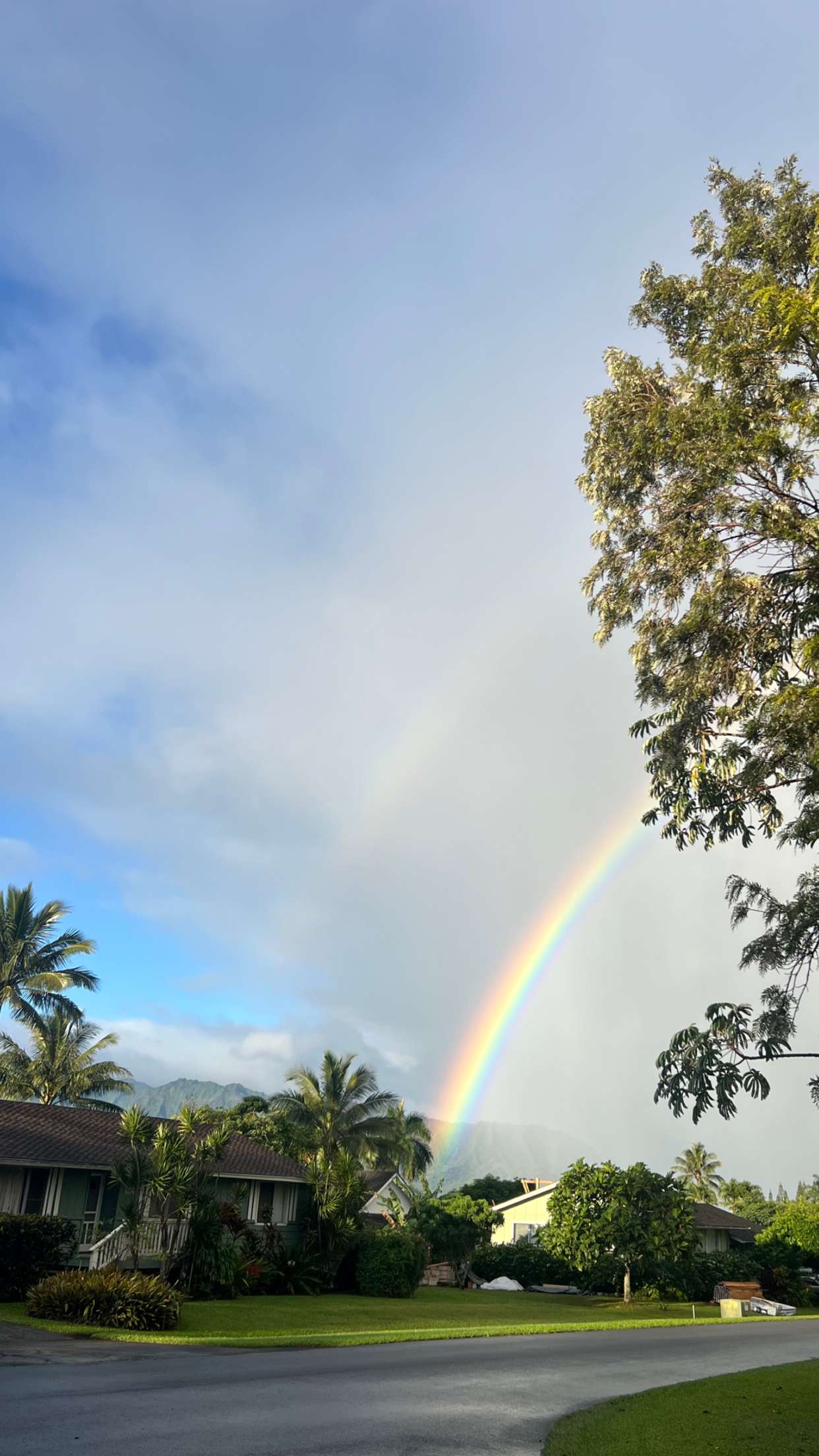 emelye.ender snapchat image archive image