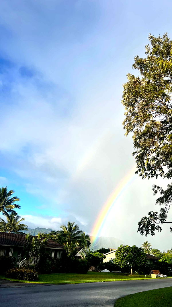 emelye.ender image ~ Altpins