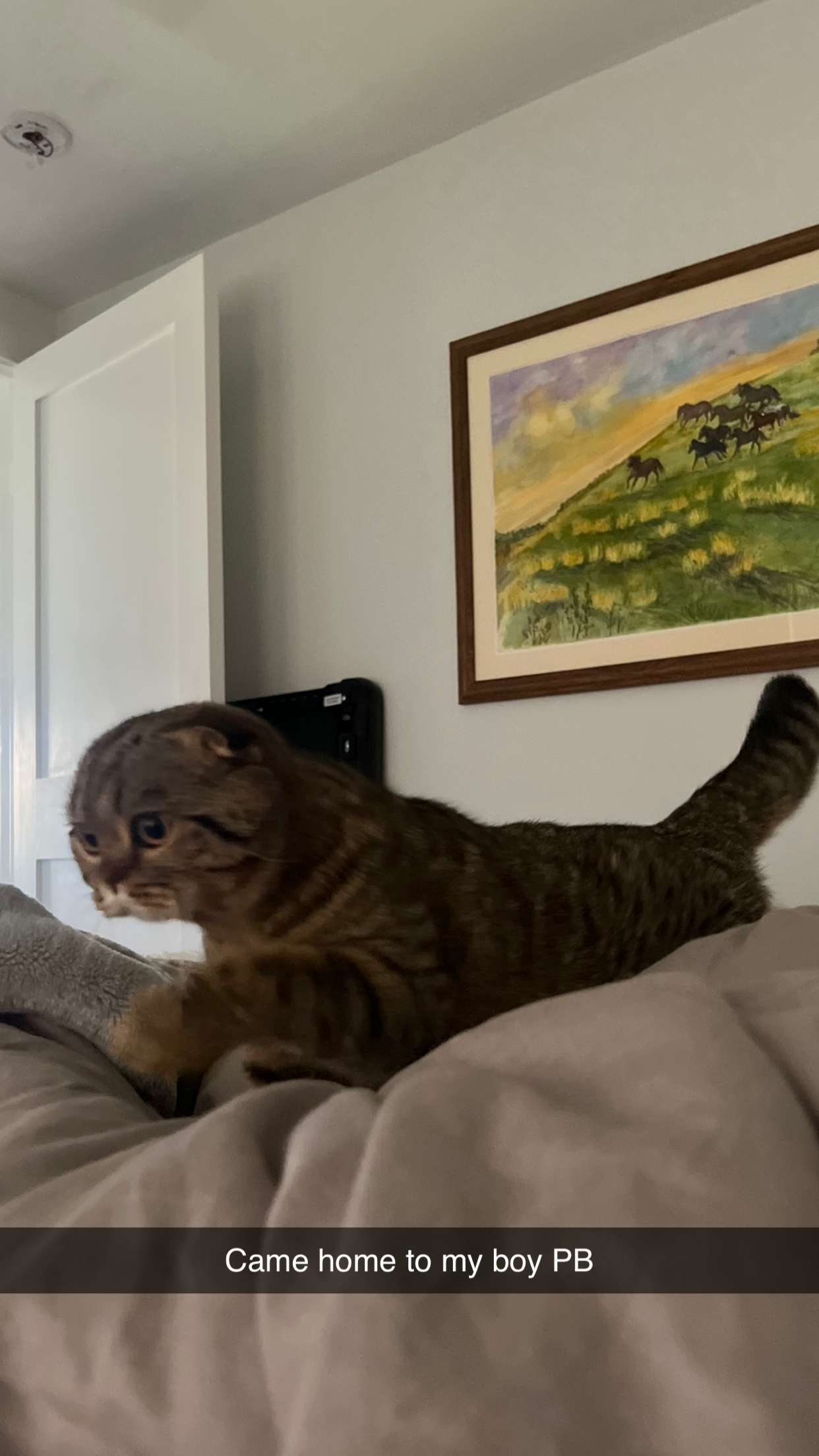 emelye.ender snapchat image archive image