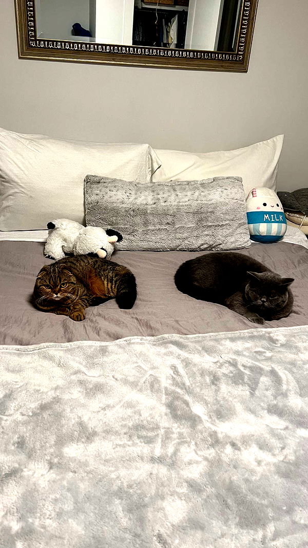 emelye.ender image ~ Altpins