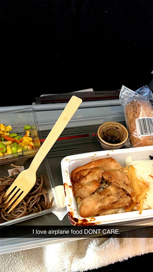 emelye.ender image ~ Altpins