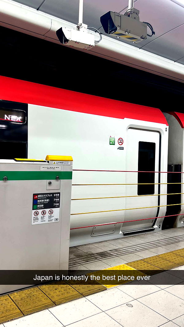 emelye.ender image ~ Altpins