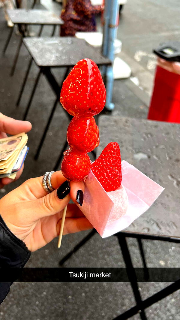 emelye.ender image ~ Altpins