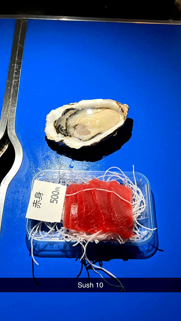 emelye.ender image ~ Altpins