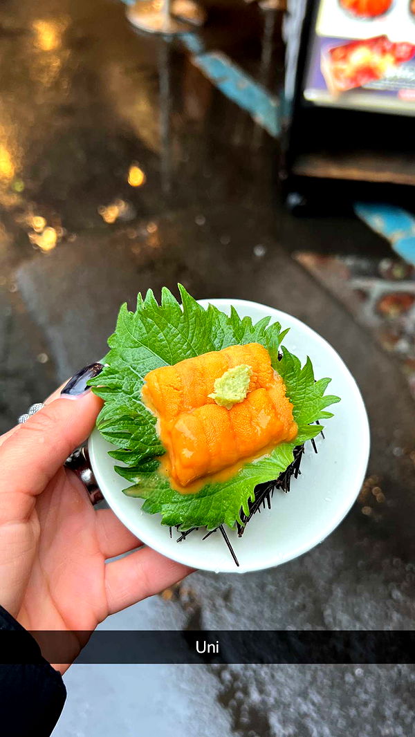 emelye.ender image ~ Altpins