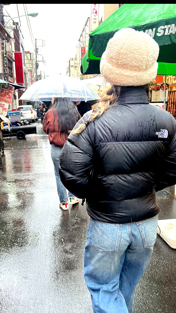 emelye.ender image ~ Altpins