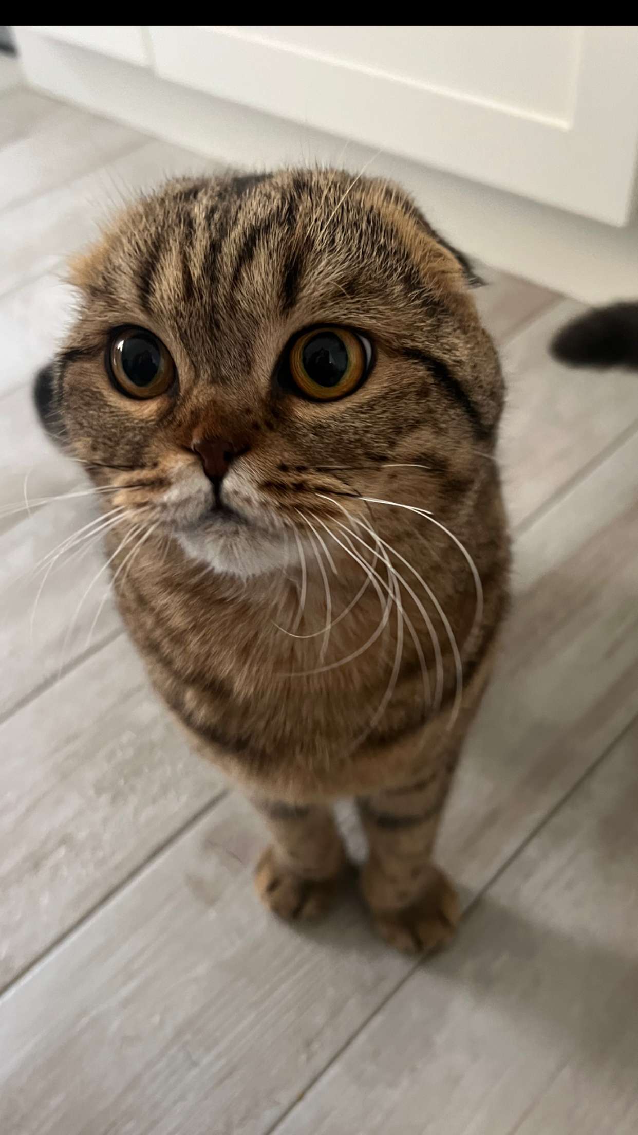 emelye.ender snapchat image archive image