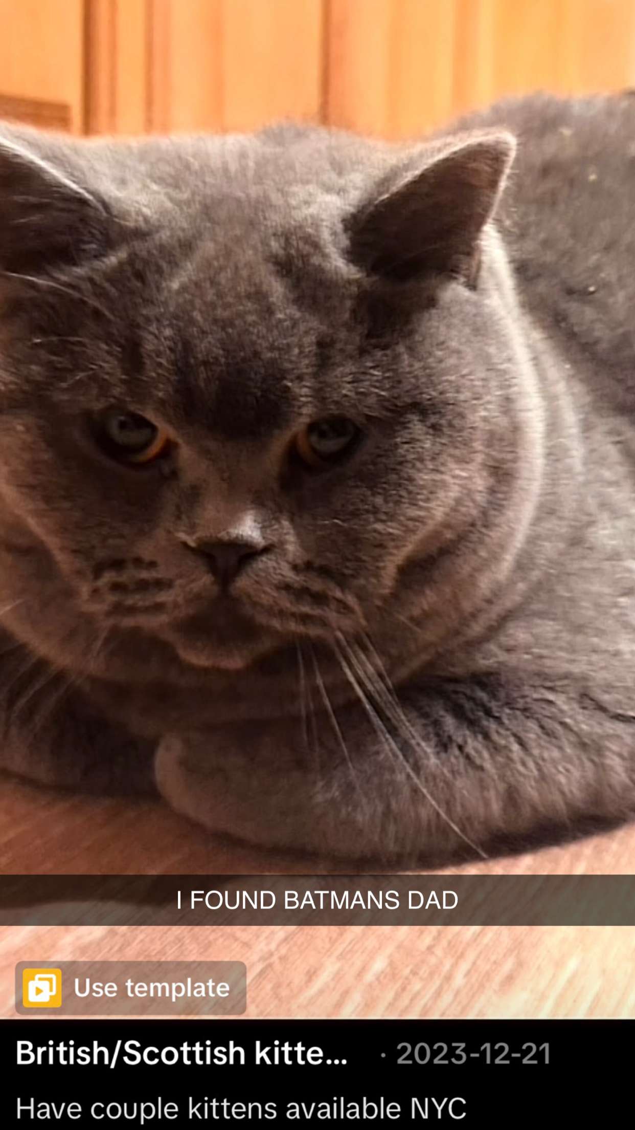 emelye.ender snapchat image archive image