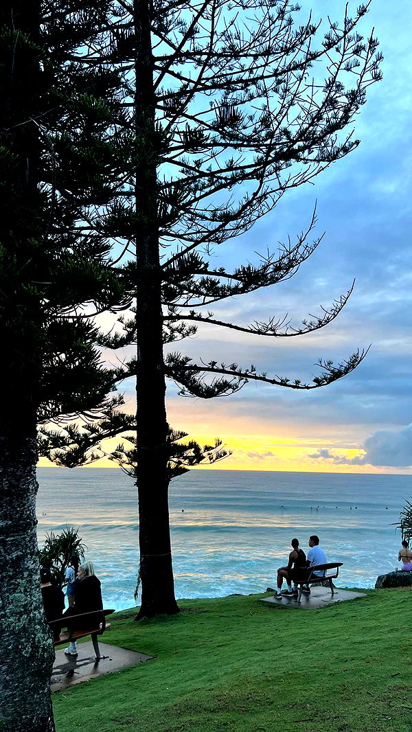 emelye.ender image ~ Altpins