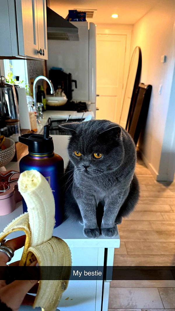 emelye.ender image ~ Altpins