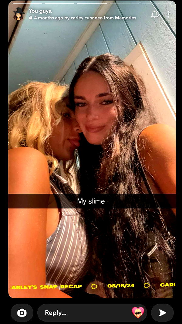 emelye.ender image ~ Altpins