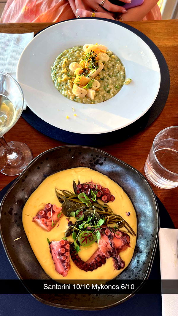 emelye.ender image ~ Altpins