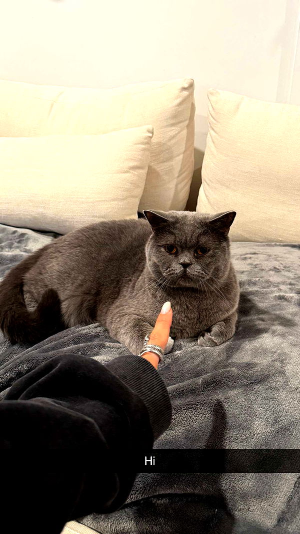 emelye.ender image ~ Altpins