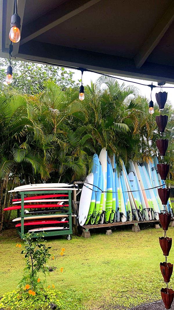 emelye.ender image ~ Altpins