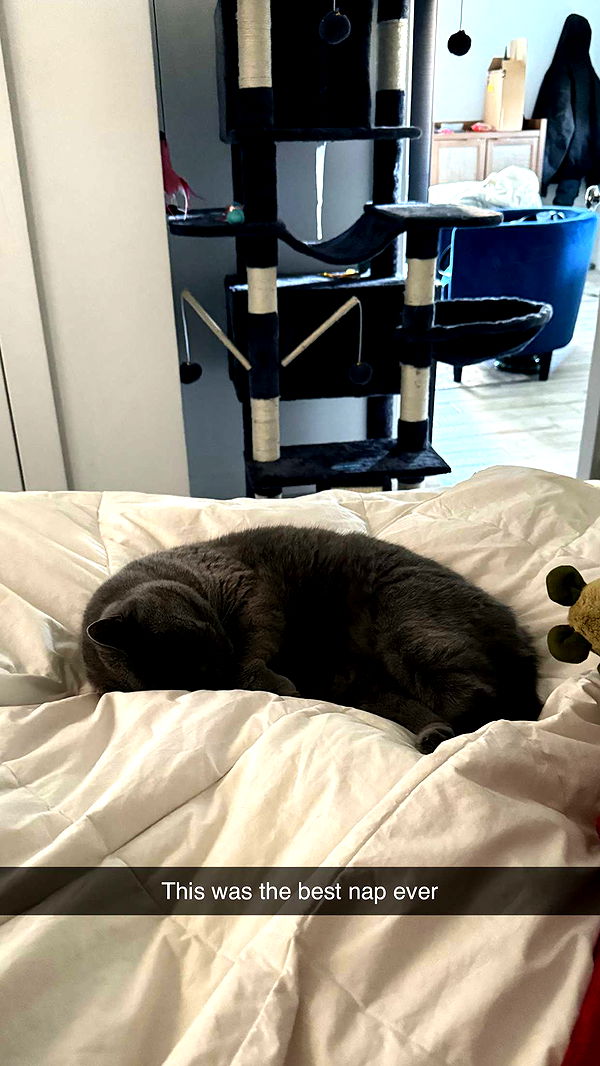 emelye.ender image ~ Altpins