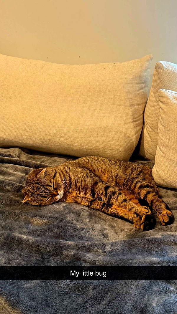 emelye.ender image ~ Altpins