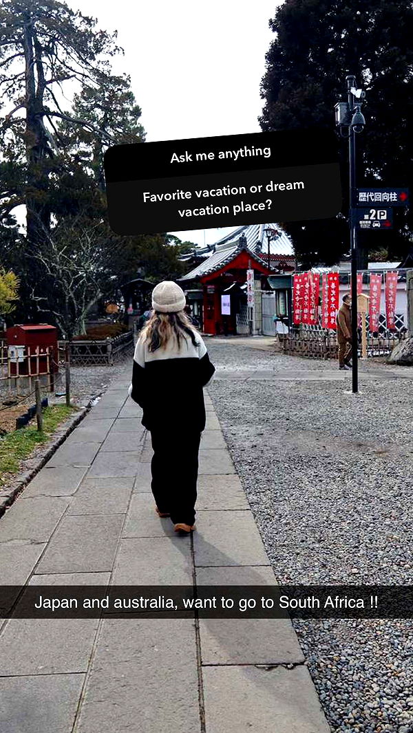 emelye.ender image ~ Altpins