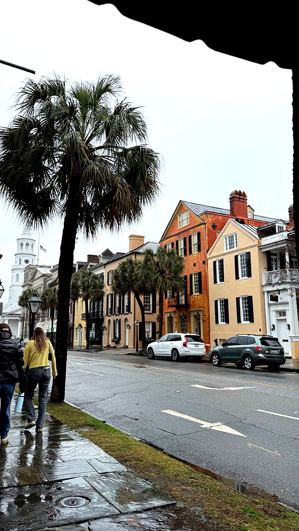 emelye.ender image ~ Altpins