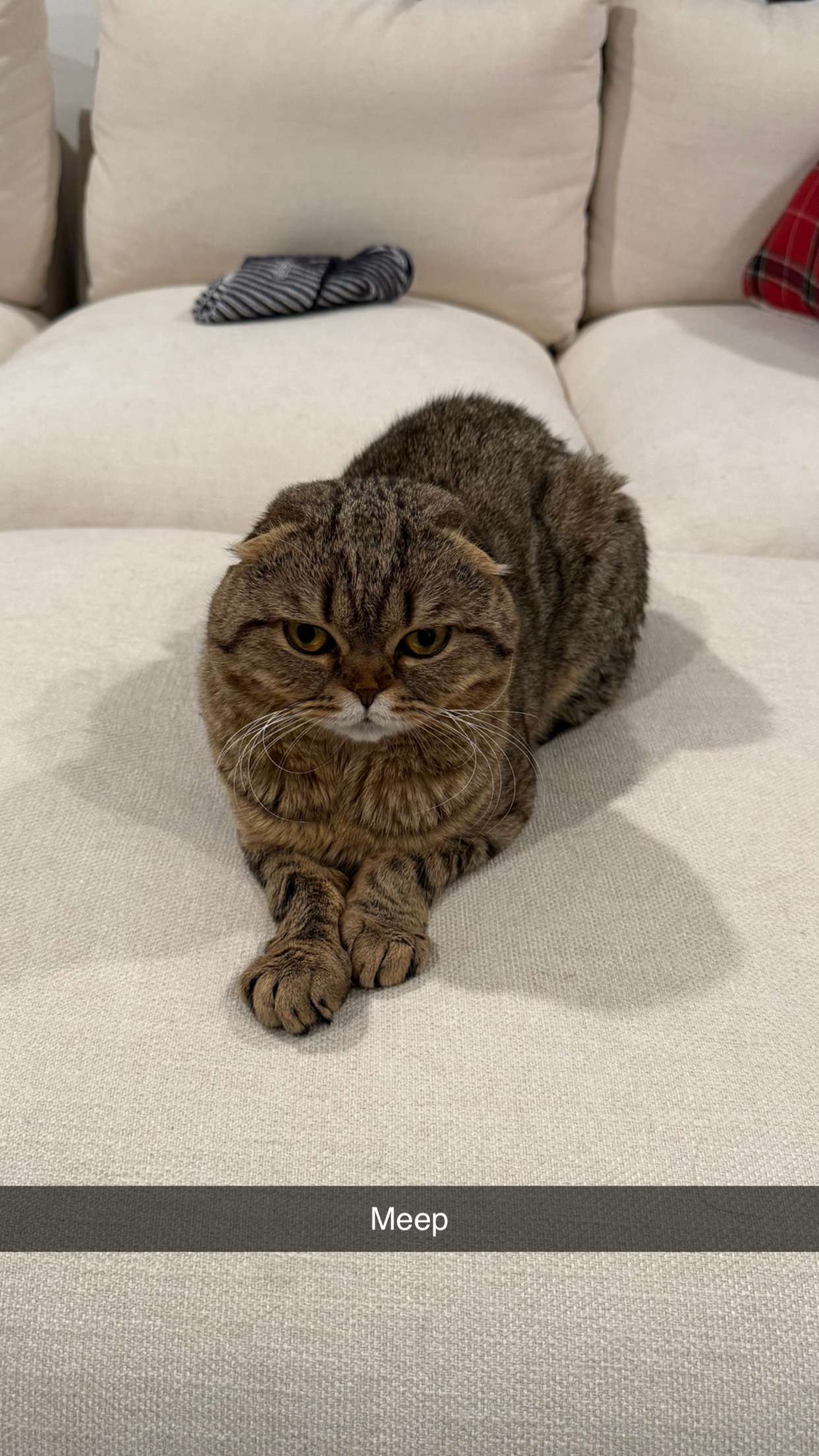 emelye.ender snapchat image archive image