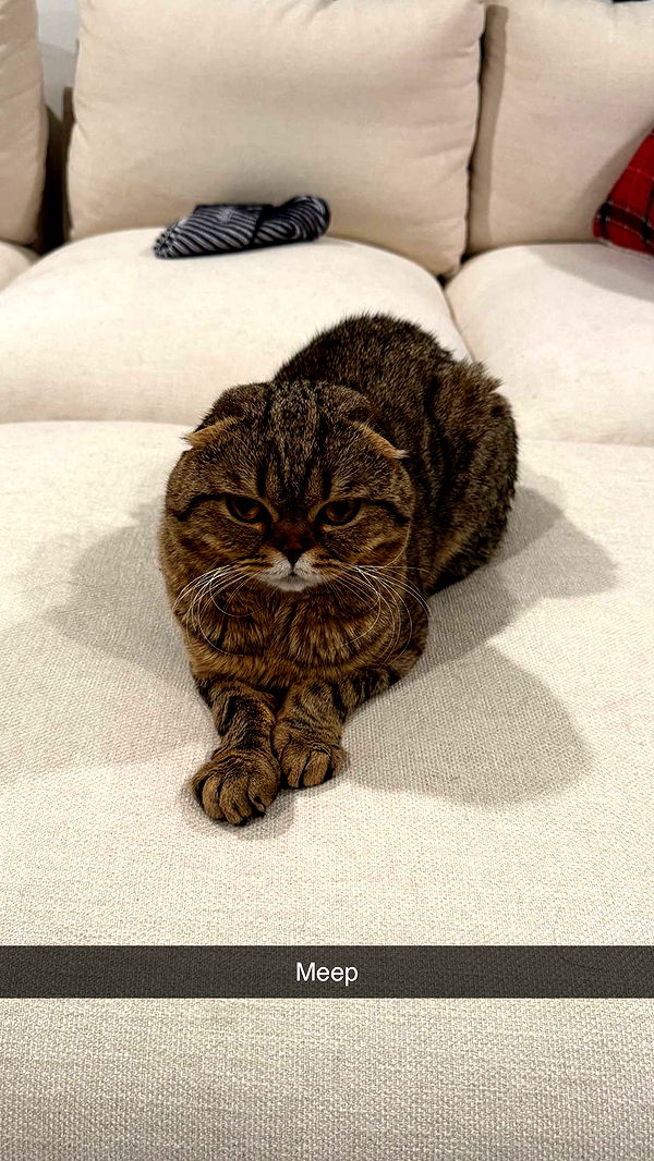 emelye.ender image ~ Altpins